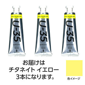 まとめ得 ターナー色彩 U35 チタネイトイエロー60ml 3個 TURNER108708 x [2個] /l