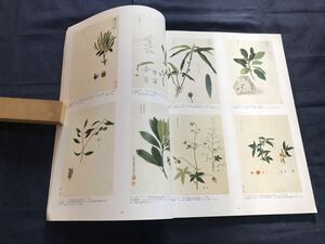 日本植物図譜展　1冊　図入り　検　お経写経写本唐本漢籍和本和書中国支那仏教真言密教密宗古本古書古文書漢詩漢文拓本医学漢方朝鮮