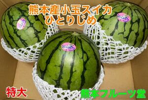 熊本産【黒皮小玉スイカbonbonリッチ】特大サイズ（優品3L3玉約9kg箱込）熊本フルーツ堂19