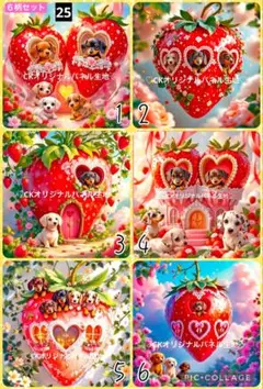 限定パネル♡ダックス♡いちごのお家♡ハンドメイド