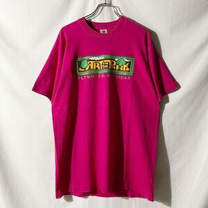 90s USA製 フルーツオブザルーム 1991 ART IN THE PARK アート Tシャツ ショッキングピンク XL シングルステッチ OLD ヴィンテージ