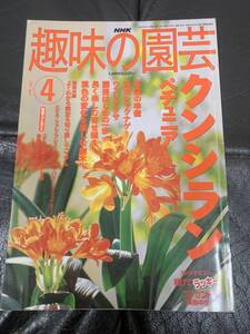 ★2002年★NHK 「趣味の園芸」4月　クンシラン/ペチュニア　寄せ植え　菜園の準備　西洋シャクナゲ　ワスレナグサ　（奥ベッド下保管）