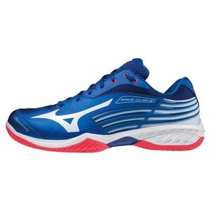 【71GA211022 23.0】MIZUNO（ミズノ）バドミントンシューズ ウエーブクロー2 SPECIAL EDITION 新品未使用 2023.3発売