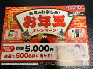 大量当選！懸賞応募★現金5,000円が500名様に当たる★ハガキ付き