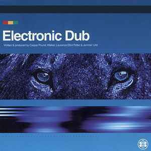 Electronic Dub - Electronic Dub　テクノ名門RISING HIGH からの1994年電子洪水DUB決定盤！！2枚組