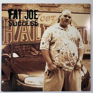 Fat Joe - Success