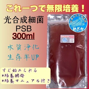 ★無限培養★光合成細菌PSB 300ml 水質浄化　生存率UP　メダカ　めだか　卵　金魚　らんちゅう　熱帯魚　稚魚　針子　ミジンコ ゾウリムシ