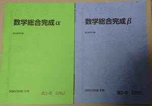 駿台 数学総合完成α+数学総合完成β 2005/2006 冬期講習テキスト 計2冊