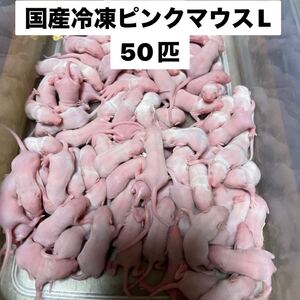 国産冷凍ピンクマウスL 50匹　送料別