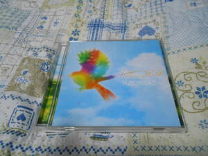 BLOCKHEAD CD Humming Bird