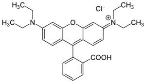 ローダミンB 5g C28H31ClN2O3 染料 蛍光色素 有機化合物標本 試薬 試料
