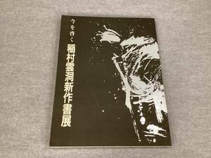 ＜K-88＞　図録　大判　「今を啓く　稲村雲洞新作書展」　実行委員会事務局 （会期:1993年8月　会場:東京セントラル美術館）　＞書道