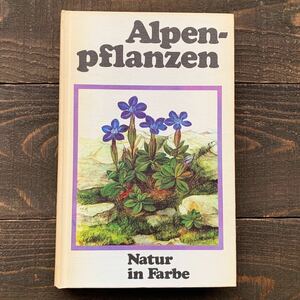 ドイツの古い植物図鑑(Alpenpflanzen 1977年)/ヴィンテージ ヨーロッパ ボタニカルアート 植物画 高山植物 高山の花 雰囲気◎/