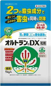 単品 1kg 住友化学園芸 殺虫剤 オルトランDX粒剤 1kg 浸透移行性 アブラムシ コガネムシ幼虫