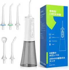 口腔洗浄器 USB充電　交換用ノズル付き　6段階圧力設定