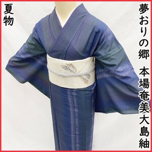 ●きものマーチ●●夏着物 本場大島紬 夏大島 ゆめおりの郷 古代文明文様●美品 404mt45