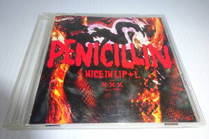 PENICILLIN★NICE IN LIP+L★ペニシリン★2枚同梱270円