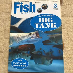 古本/FISH MAGAZINE/528 BIG TANK