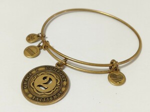 ALEX AND ANI アレックスアンドアニ ブレスレット チャーム ゴールド バングル