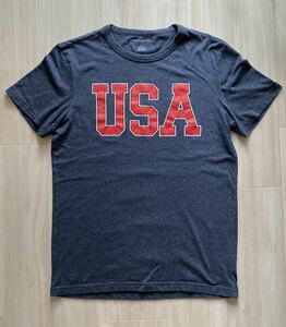 AMERICAN EAGLE(アメリカンイーグル)USAプリントTシャツ■Mサイズ相当■ブルーグレー半袖　アメカジ古着メンズファッション