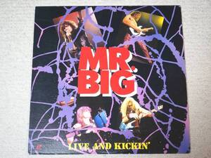 LD♪ミスター・ビッグ♪MR. BIG　LIVE AND KICKIN