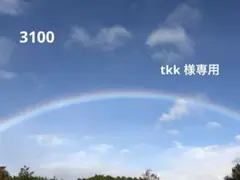 【3100】tkk 様専用ページ