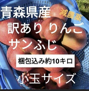 青森県産 減農薬 訳ありりんご「サンふじ」梱包込み 約10キロ 小玉サイズ 