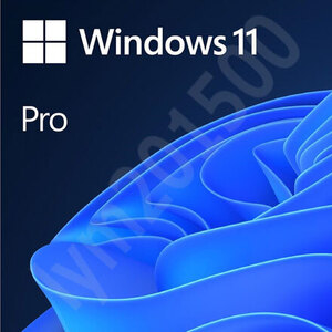 ★24時間いつでも5分で送信★認証保証 Windows 11 Pro 64bit 正規プロダクトキー★