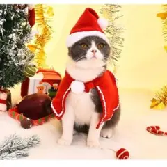 クリスマス 猫 犬 コスチューム マント サンタ 記念撮影 Sサイズ 可愛い