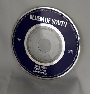 【8cmシングルCD】BLUEM OF YOUTH（試聴盤/SAMLE)QDDB-93028 DISCのみ