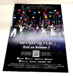 Glow of Tokyo 『DIAMOND VEIL』　フライヤー2枚セット