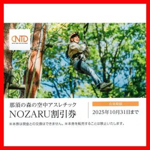 那須の森の空中アスレチック NOZARU割引券 1枚(4名迄)■2510最新日本駐車場開発株主優待券クーポン券施設利用券無料券ノザル2枚野猿KOZARU