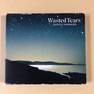 浜田省吾 1CD「Wasted Tears」