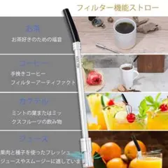 フィルター機能 ステンレス製ストロー 携帯用 マイストロー コーヒーストロー