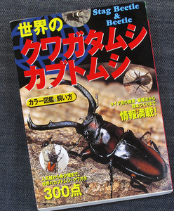 世界のクワガタムシ・カブトムシ｜300種カラー図鑑 成虫 タイプ別飼育 幼虫 繁殖 採集 標本 作り方 飼い方 育て方#s