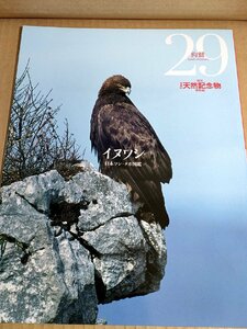 週刊日本の天然記念物 イヌワシ/犬鷲/狗鷲 日本ワシ・タカ図鑑/カンムリワシ/オジロワシ/オオワシ/オガサワラノスリ鳥海山・月山/B3232761