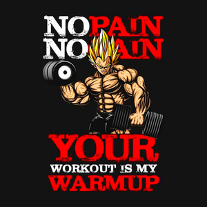 【Tシャツ】　『SUPER SAIYAN VEGETA GYM』　ベジータ　トレーニングジム　ドラゴンボール　ブラック　S／M／L／XL