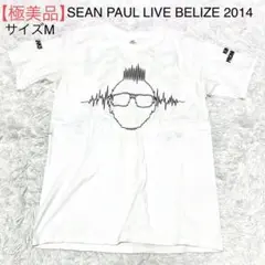 【美品】ショーンポール　バンドTシャツ　ツアーTシャツ　2014 サイズM 白