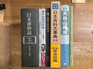 c1119-6 自然 nature 植物 昆虫 西表島 桶ヶ谷沼 環境 ビオトープ 山 森 生物 資料 参考文献 教育 学び 知識 博学 生態系 絶滅危惧種