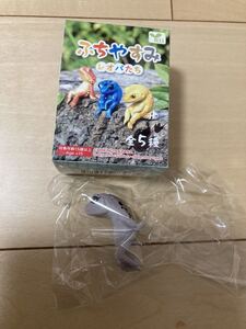 レオパードゲッコー　フィギュア