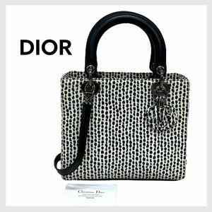 保証書付き Christian Dior クリスチャン ディオール レディディール パイソンレザー ドット風 ロゴチャーム 2way ハンドバッグ 21-MA-0114