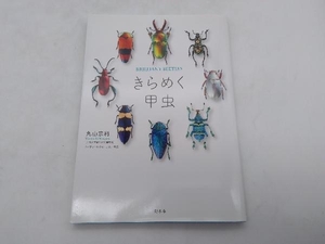 ジャンク きらめく甲虫 丸山宗利 幻冬舎