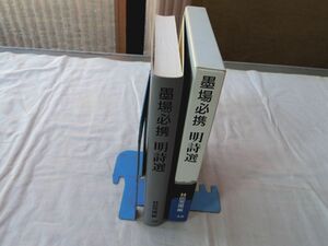 0035693 墨場必携 明詩選 林田芳園 二玄社 1997年