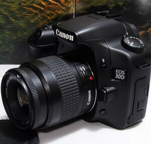 ★本格入門するならコレ★ Canon EOS 30D レンズキット オマケ多数♪