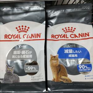 猫まっしぐら　ロイヤルカナン　猫　減量したい猫　と　オーラルケア　キャットフード　#鍵しっぽネコの森キャットフード