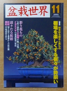 盆栽世界 2003年11月号