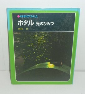 水生昆虫1980『ホタル 光のひみつ／科学のアルバム68』 栗林慧 著