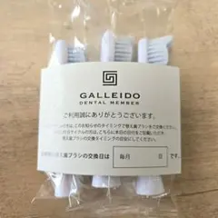 GALLEIDO 電動歯ブラシ替えブラシ 3本入り