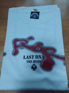 新品未使用品　THE MODS　Tシャツ　Lサイズ　LAST DNA R&R　ROCKAHOLIC 　　廃盤商品