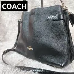 ✨美品✨　coach コーチ　ハンナ　2way　ショルダーバッグ　シボ革　蛇